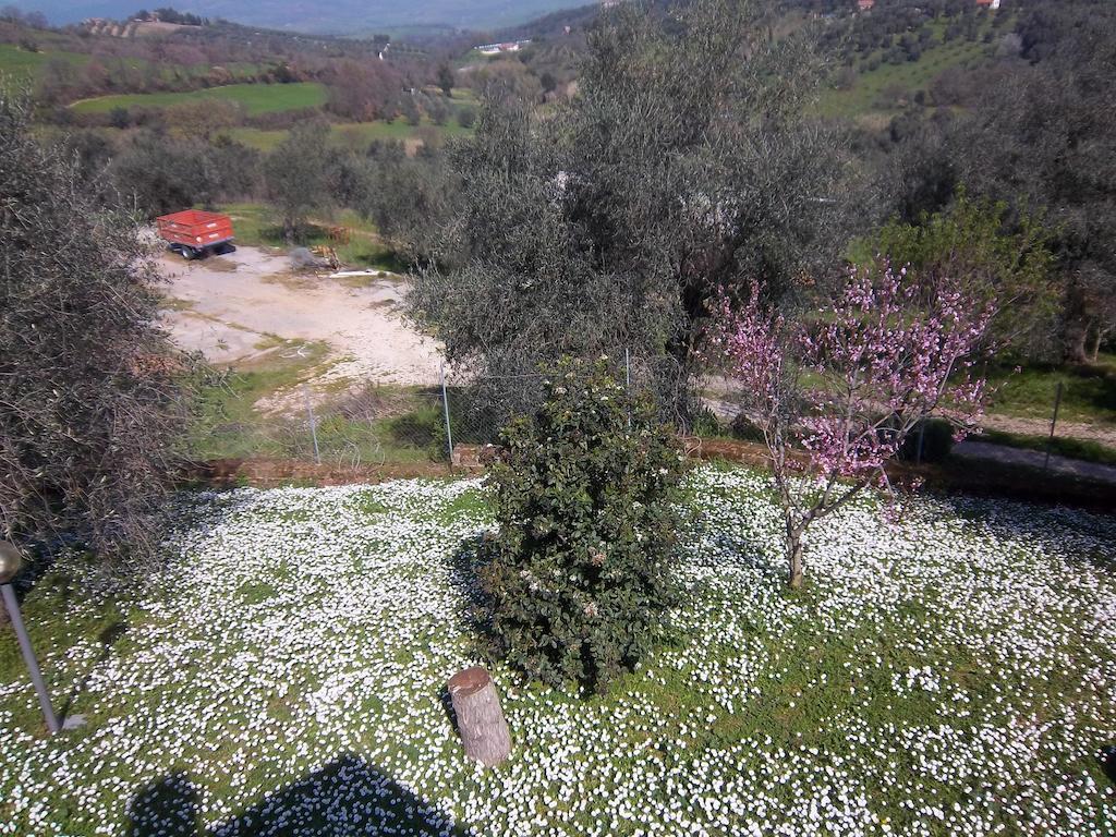 Agriturismo Norianino Montemerano Bagian luar foto