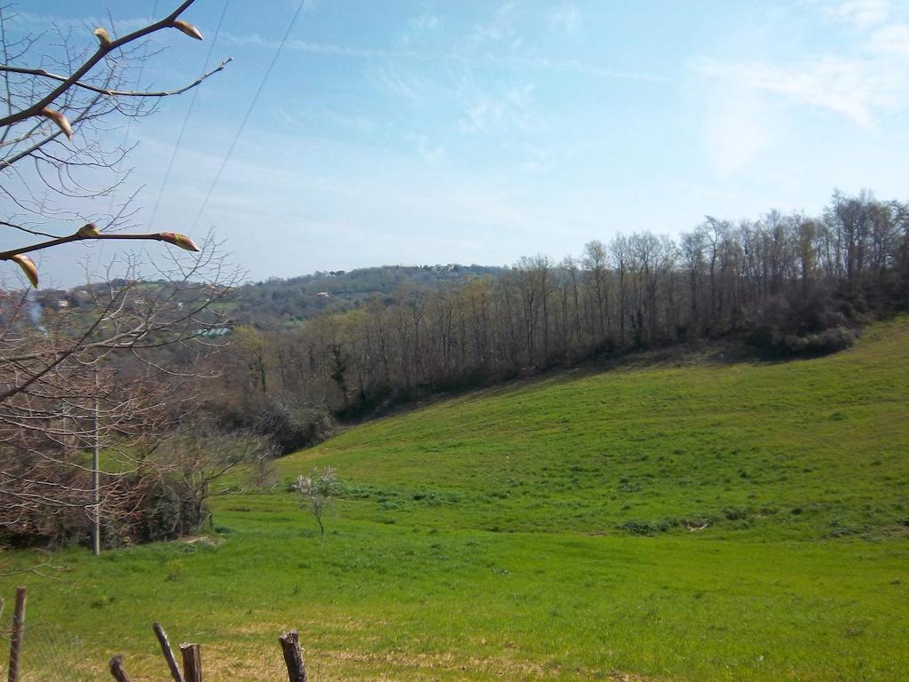 Agriturismo Norianino Montemerano Bagian luar foto