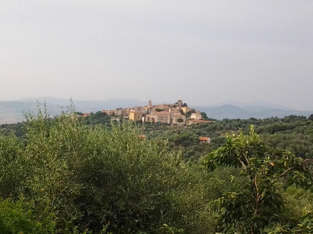 Agriturismo Norianino Montemerano Bagian luar foto